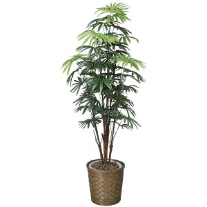 �V�����`�N1.6 500K400 W70×D70×H160cm�y2024�N�� �l�H�ϗt�A�� ���̊y�� ���� �t�F�C�N ���r���O ���� �A�[�g�t�����[ �C���e���A�O���[���z