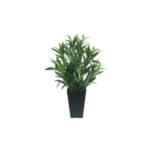 XpC_[ 518A70 W33×D33×H50cmy2024N lHϗtA ̊y  tFCN rO  A[gt[ CeAO[z