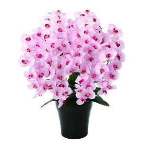 v~AӒ7{P 656A250 W55×D50×H75cmy2024N lHϗtA ̊y  tFCN rO  A[gt[ CeAO[z