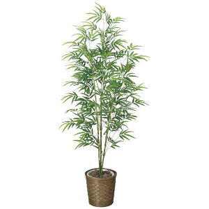 | 1.8 778K370 W75×D70×H180cmy2024N lHϗtA ̊y  tFCN rO  A[gt[ CeAO[z