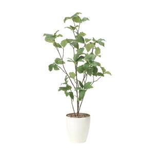 TThE_90 827K100 W45×D40×H90cmy2024N lHϗtA ̊y  tFCN rO  A[gt[ CeAO[z