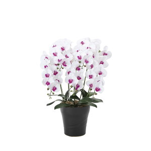 tbVӒ5{W^L 876A200 W53×D45×H72cmy2024N lHϗtA ̊y  tFCN rO  A[gt[ CeAO[z