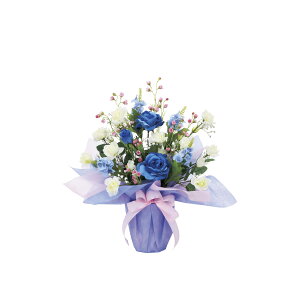 u?C 880K55 W35×D30×H45cmy2024N lHϗtA ̊y  tFCN rO  A[gt[ CeAO[z