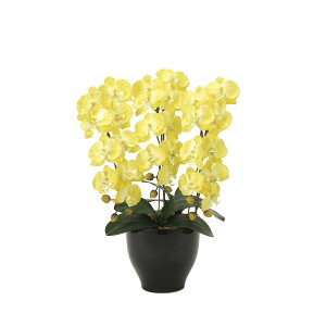 ӒZ[XY 917K120 W42×D40×H66cmy2024N lHϗtA ̊y  tFCN rO  A[gt[ CeAO[z