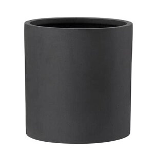 |bV V_[ `R[ 43cm 1Zbg AN-PY4343CH 4573276846017yK[f v^[ |bg    X | CeA GNXeA O[|bgz