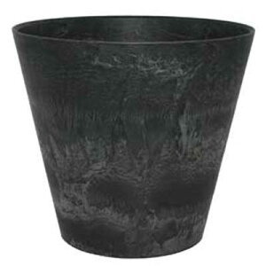 A[gXg[ Eh ubN 22cm 10Zbg AS-102161 8711355063320yK[f v^[ |bg    X | CeA GNXeA O[|bgz