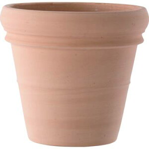 |bg zCg 42cml 1Zbg DE-3142W 0726232145400yK[f v^[ |bg    X | CeA GNXeA O[|bgz