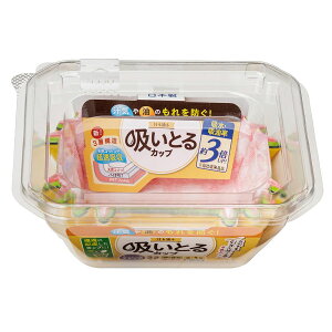 `zƂJbv XNGA 4F 22 1840y ٓJbv z Rbg  zz