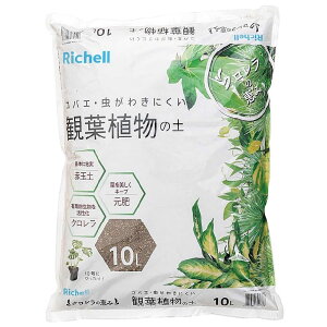 ŇbR ϗtA̓y 10LyA | y  | K[fjO 킫ɂz