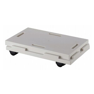 Ał郉NS@18 O[yLX^[t z[L[ Xgbp[ yʁz