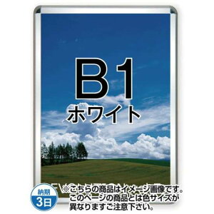 |X^[Obv32R(p) B1zCg TSK-PG-32R-B1W(N)yt[TCYW778×H1080mm t[32mm pۃ^Cv |X^[t[ ֐Hz