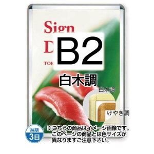 |X^[Obv32R(Op) B2ؒ TSK-PG-32R-B2S(G)yt[TCYW565×H778mm t[32mm pۃ^Cv |X^[t[ ֐Hz