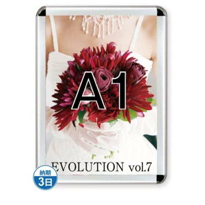 |X^[Obv44R(p) A1Vo[ TSK-PG-44R-A1C(N)yt[TCYW645×H892mm t[44mm pۃ^Cv |X^[t[ ֐Hz