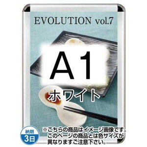 |X^[Obv44R(OpEpbNV[g) A1zCg TSK-PG-44R-A1W(P)yt[TCYW654×H901mm t[44mm pۃ^Cv |X^[t[ ֐Hz