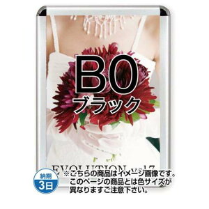 ポスターグリップ44R(屋内用) B0ブラック TSK-PG-44R-B0B(N)【フレームサイズW1081×H1507mm フレーム幅44mm 角丸タイプ ポスターフレーム 常磐精工】