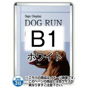 |X^[Obv44R(Op) B1zCg TSK-PG-44R-B1W(G)yt[TCYW779×H1081mm t[44mm pۃ^Cv |X^[t[ ֐Hz