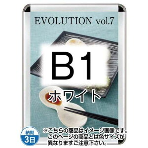 |X^[Obv44R(OpEpbNV[g) B1zCg TSK-PG-44R-B1W(P)yt[TCYW788×H1090mm t[44mm pۃ^Cv |X^[t[ ֐Hz