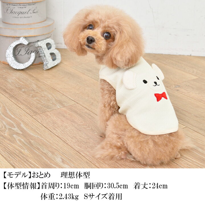 楽天市場】くま耳BABYタンクトップ 2XS/XS/S/M CRAZYBOO Baby 