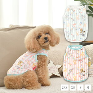 ؔnXgCv^Ngbv 2XS/XS/S/M CRAZYBOO BabyiNCW[u[ xr[j qp ps[  gCv[h ` |jA CBbaby21AW