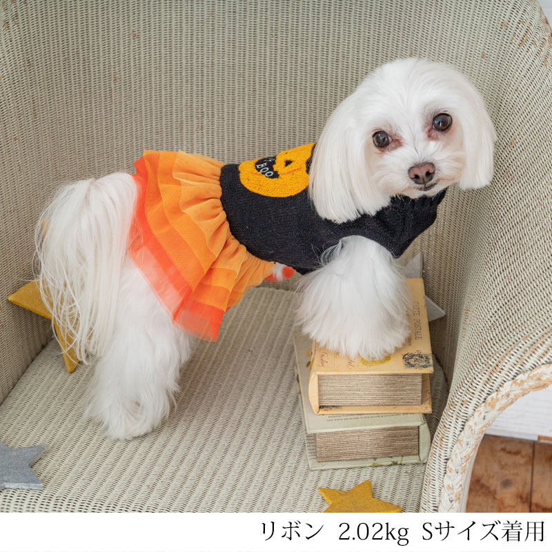楽天市場】かぼちゃチュールワンピ XS/S CRAZYBOO -クレイジーブー- 犬