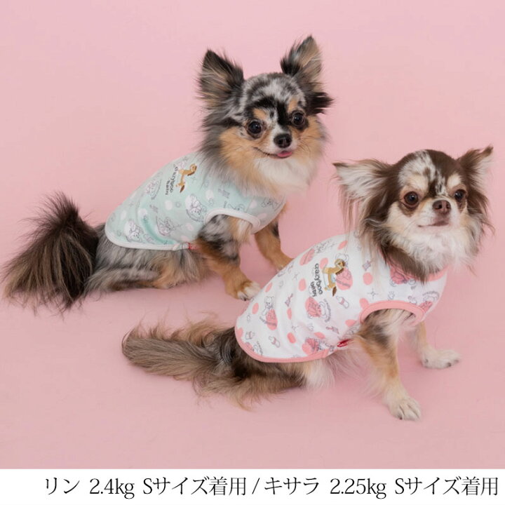 楽天市場 Babyくまちゃんベロアタンク 2xs Xs S M Crazyboo Baby クレイジーブー ベビー 子犬用 パピー 犬服 トイプードル チワワ ポメラニアン Cbbaby22aw Crazyboo