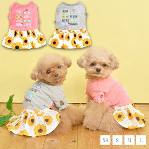 AnЂ܂胏s XS/S/M/L/XL CRAZYBOO -NCW[u[-  hbOEFA gCv[h ` |jA ԕ CB22SS