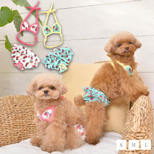 XCJvgrLj  S/M/L/XL/XXL CRAZYBOO -NCW[u[-  hbOEFA gCv[h ` |jA CB22SS