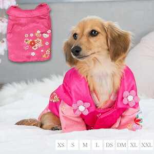 aԕzR[g XS/S/M/L/DS/DM/XL/XXL CRAZYBOO -NCW[u[-  hbOEFA gCv[h ` |jA  CB23AW