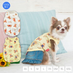 N}{^bV^N XS/S/M/L/DS/DM/XL/XXL CRAZYBOO -NCW[u[-  hbOEFA gCv[h ` |jA CB23SS