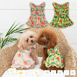 Ants XS/S/M/L/XL CRAZYBOO -NCW[u[-  hbOEFA gCv[h ` |jA CB23SS