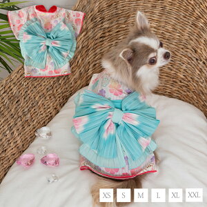 XgCvԕ XS/S/M/L/XL/XXL CRAZYBOO -NCW[u[-  hbOEFA gCv[h ` |jA CB23SS