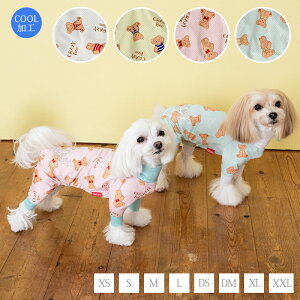 N}bVAN ANeBup[X XS/S/M/L/DS/DM/XL/XXL CRAZYBOO -NCW[u[-  hbOEFA gCv[h ` |jA CB23SS