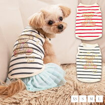 楽天市場】くま（適正犬種マルチーズ）（ドッグウェア｜犬用品 
