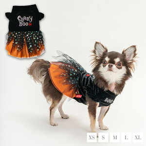 LLnEBs XS/S/M/L/XL CRAZYBOO -NCW[u[-  hbOEFA CB24AW