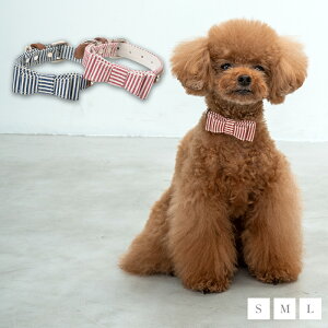 CRAZYBOO / NCW[u[ qbR[J[ S / M / LTCY  / ̕ / hbOEFA