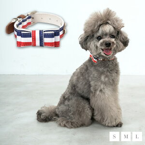 CRAZYBOO / NCW[u[ gR[J[ S / M / LTCY  / ̕ / hbOEFA