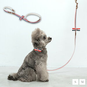 CRAZYBOO / NCW[u[ gR[[h S / MTCY  / ̕ / hbOEFA