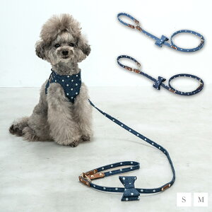 CRAZYBOO / NCW[u[ hbgfj[h S / MTCY  / ̕ / hbOEFA