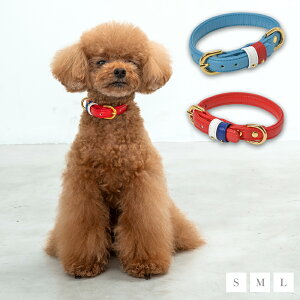 CRAZYBOO / NCW[u[xgʂ J[S/M/LTCY / ̕ / hbOEFA