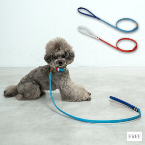 CRAZYBOO / NCW[u[xgʂ [h / ̕ / hbOEFA