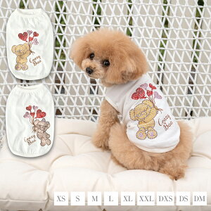 LLn[go[^N XS/S/M/L/XL/XXL/DXS/DS/DM CRAZYBOO -NCW[u[-  hbOEFA CB24SS