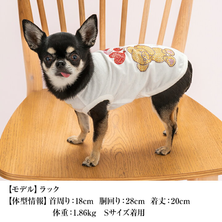 楽天市場】キラキラハートバルーンタンク XS/S/M/L/XL/XXL/DXS/DS/DM 