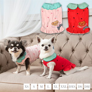 ݕtt[c^N XS/S/M/L/XL/XXL/DXS/DS/DM CRAZYBOO -NCW[u[-  hbOEFA CB24SS