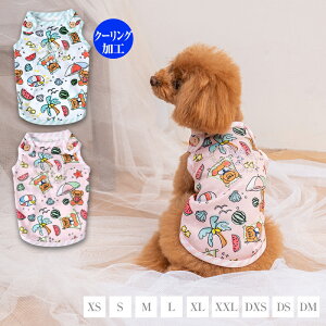 T}[vgbV^N XS/S/M/L/XL/XXL/DXS/DS/DM CRAZYBOO -NCW[u[-  hbOEFA CB24SS