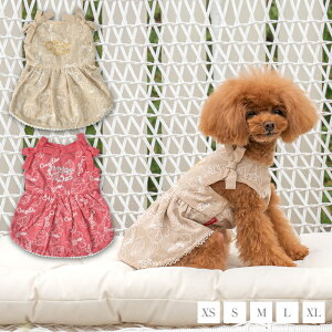 hJ{s XS/S/M/L/XL CRAZYBOO -NCW[u[-  hbOEFA CB24SS