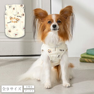 ΂܂p[J XS/S/M/L/XL/XXL/DXS/DS/DM CRAZYBOO -NCW[u[-  hbOEFA nEB HALLOWEEN RXv CB25AW