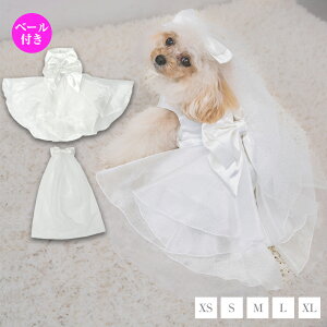 yʔ̌ztA{EGfBOhX XS/S/M/L/XL CRAZYBOO -NCW[u[-  hbOEFA  Cxg CB25AW