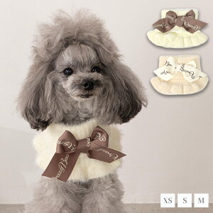 tjbg}t[ S/M/L CRAZYBOO -NCW[u[-  hbOEFA Xk[h CB25AW