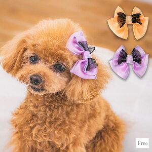 yʔ̌znEBwA{ F CRAZYBOO -NCW[u[- p ANZT[ CB25AW