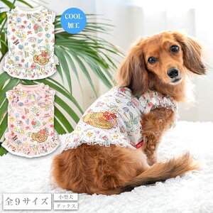 gsJt^N XS/S/M/L/XL/XXL/DXS/DS/DM CRAZYBOO -NCW[u[-  hbOEFA gCv[h ` |jA N[H CB25SS